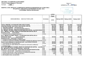 buget total si venituri p1
