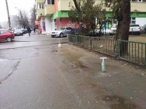 11020392_903199706367880_576639078_n