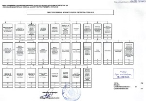organigrama cu birou asistenta stradala
