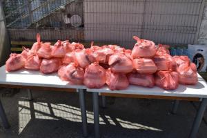 media_20150414121953_887(1)