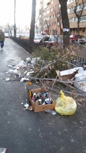 12962642_1159037817461051_1974341876_o